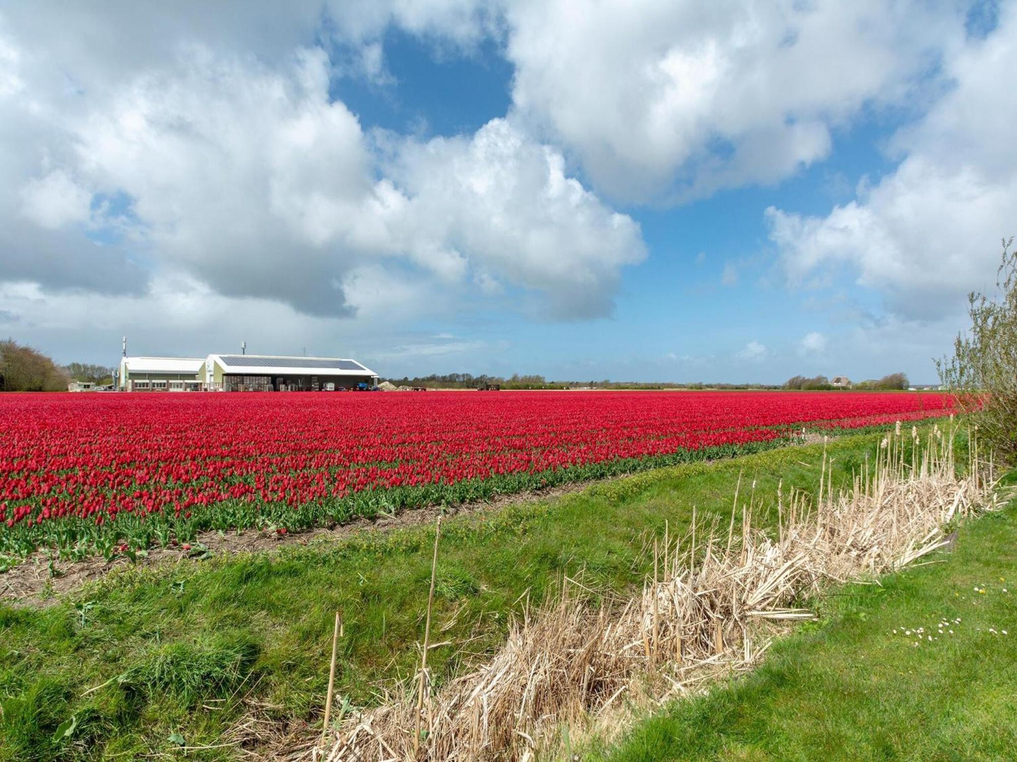 Holiday Home With Fabulous Garden Sint Maartensvlotbrug Extérieur photo